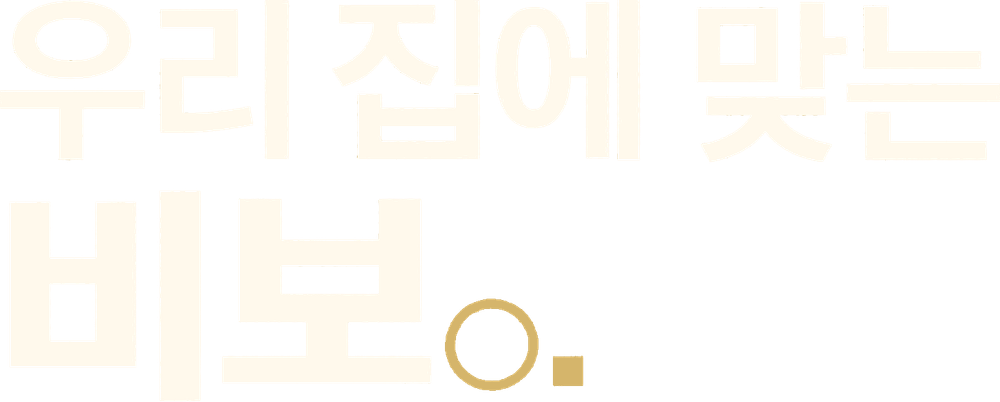 우리 집에 맞는 비보